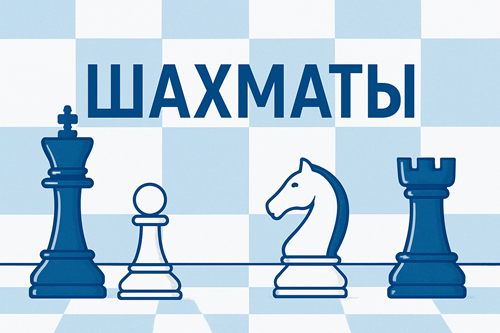 Шахматы