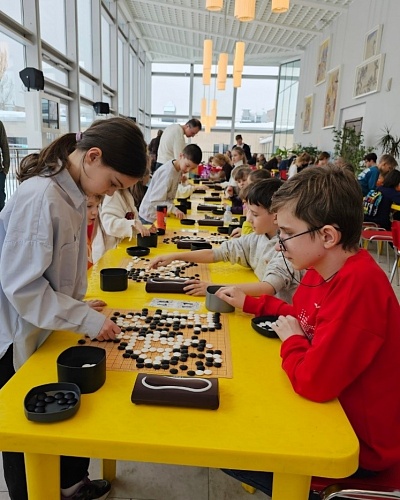 Ученица школы «Наукоград» МФЮА выступила на Детском Гран-при Москвы по го